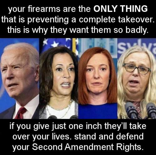 the second amendment14