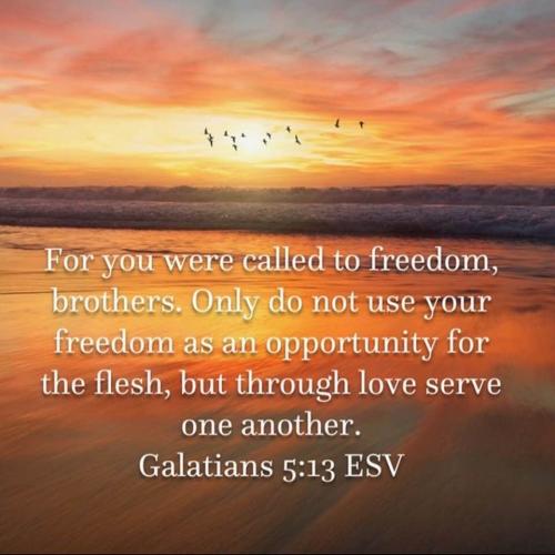 202669257_4767266506624005_3455521725886739530_n