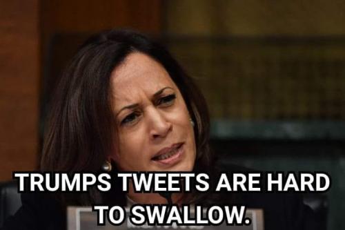 75233960_187088439090113_5677695660049039360_n