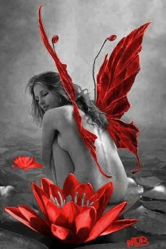 FB_IMG_1624500136523