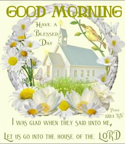 Screenshot_20210628-202848_Gallery