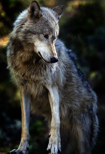 21:36:25 GMT-0500 (CDT)