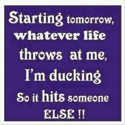 13:13:47 GMT-0600 (MDT).image