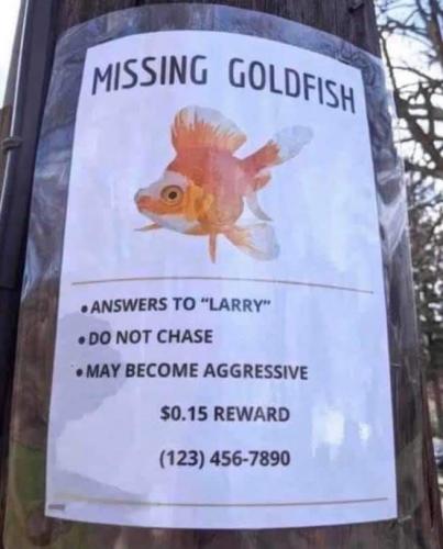 11:43:32 GMT-0500 (CDT)