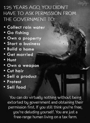 82593550_1502888013195305_7296816133556928512_n