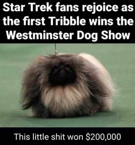 16:50:38 GMT-0500 (CDT)