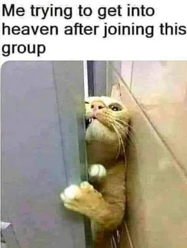 FB_IMG_1623804914395