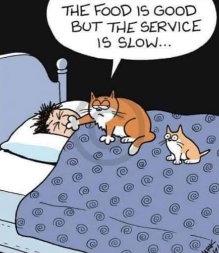 18:48:55 GMT-0400 (EDT)