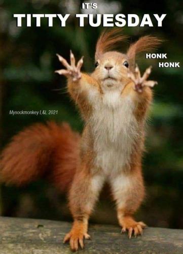 14:24:37 GMT-0400 (EDT)