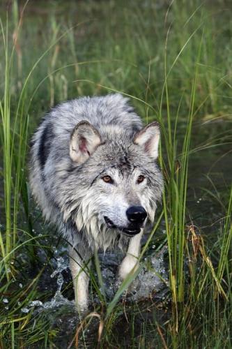 9946e19cfded198f317deb62e3cf23be