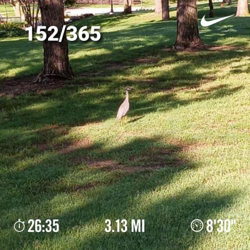 08:36:03 GMT-0500 (CDT)