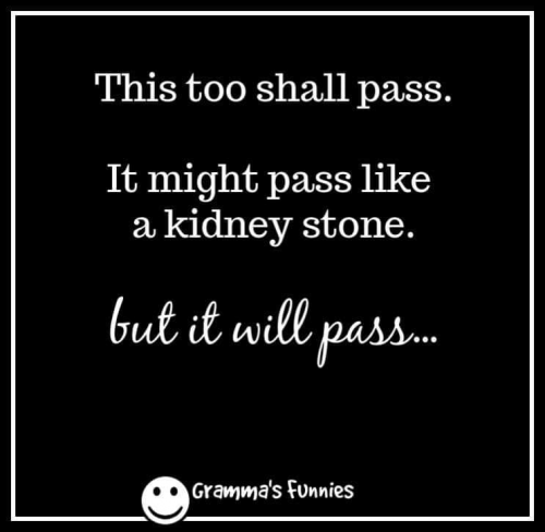 Meme  This too shall pass.  It may pass like a kidney stone but it will pass.  153673046_808393379761375_6927901021483003432_n