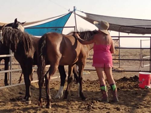 received_196315882396262