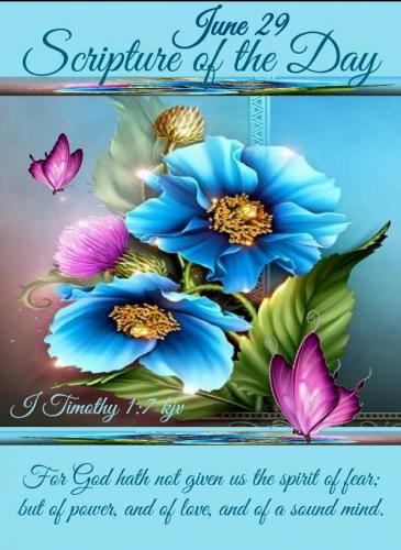 Screenshot_20210628-202836_Gallery