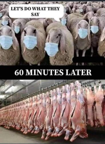 21:14:07 GMT-0500 (CDT)