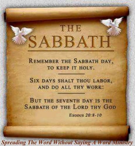 11351138_778229678942832_8194091415314195189_n