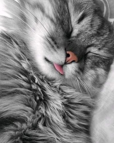 04:47:32 GMT-0500 (CDT)