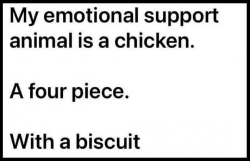 tumblr_de70263e51520c516590b00e74c1d0b1_0a58f610_540