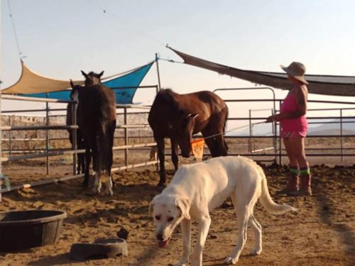 received_1133022460509102