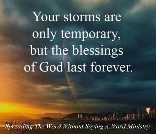 201503929_534847704362288_2292163186763465079_n