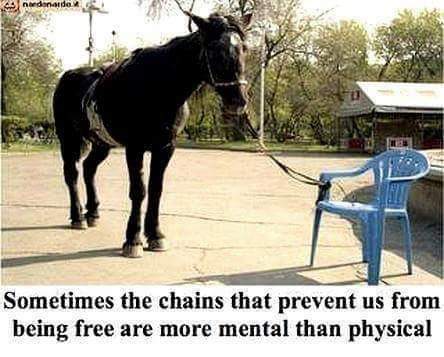 05:45:54 GMT-0500 (CDT)