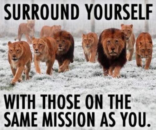 Surround yourself