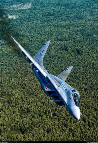 208122921_2995482327337106_4250160514793344366_n