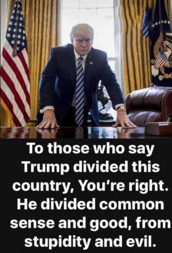 206441697_486856829075586_835727831454270770_n