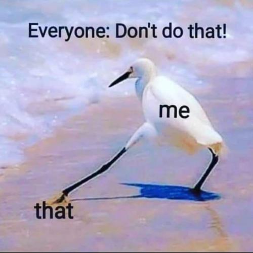 21:55:14 GMT-0500 (CDT)