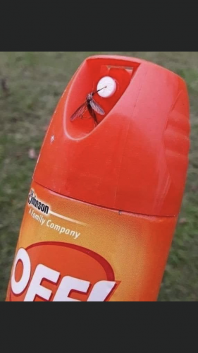 21:21:39 GMT-0500 (CDT).image