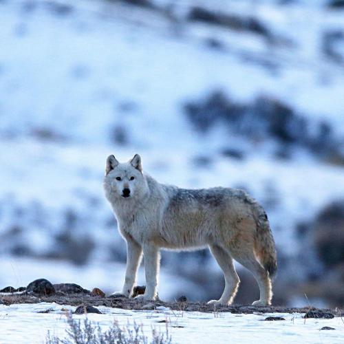 192575985_330193072008059_5322267961075764086_n