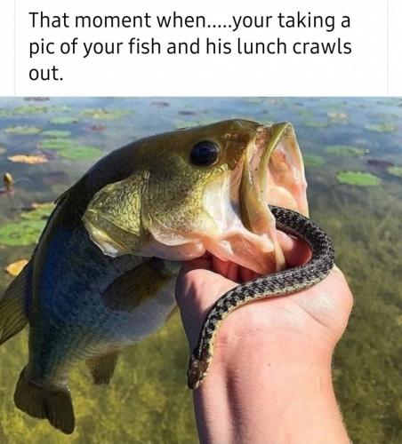 17:09:04 GMT-0400 (EDT)