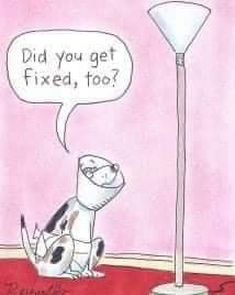 22:15:49 GMT-0400 (EDT)