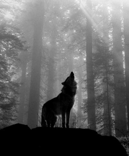 91453115_10212933364489034_476672616019525632_n