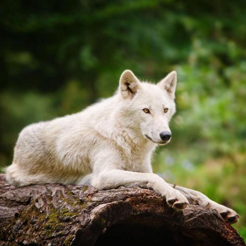 192950930_330199238674109_3264773732979271969_n