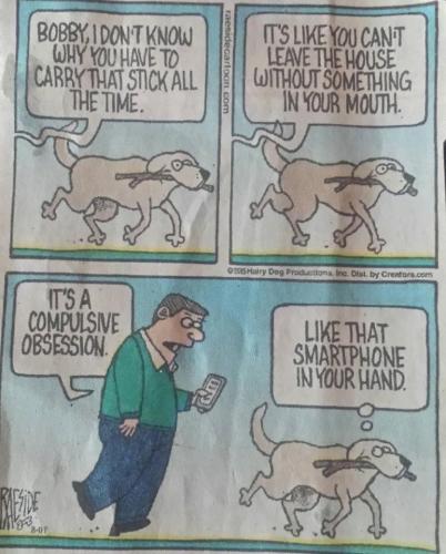 201776025_3632280150207174_8167485197098401816_n