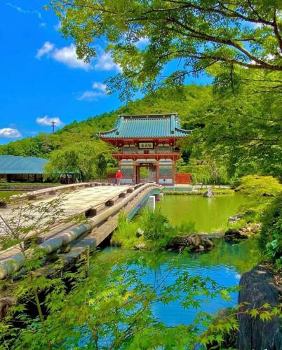 200099612_343237210505621_7466752520911321227_n