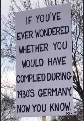 Meme Picture  If you have ever wondered if you would have complied in Germany in 1930 NOW YOU KNOW  189290133_4326449410722223_7079963560311541830_n