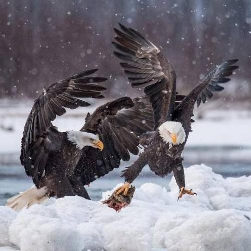 tumblr_debd9fc69ffc7c50ee06a43a41383c6a_7d167e2d_540