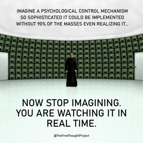 194246938_2557951644512034_3714959712145462881_n