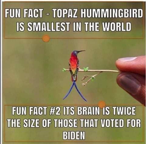 FB_IMG_1623689846039