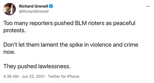 richard_grenell_dnc-msm_blm_6-3-21