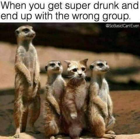 FB_IMG_1624917249550