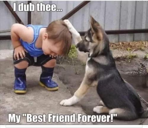 194312404_357031669126029_4376238042313231682_n