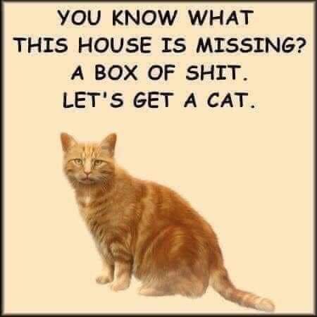 16:44:19 GMT-0400 (EDT)