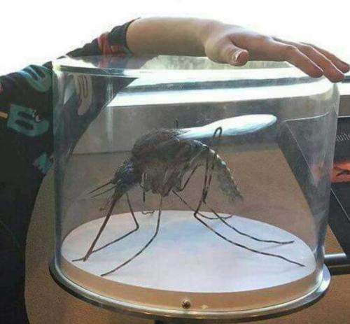 17:20:26 GMT-0500 (CDT)