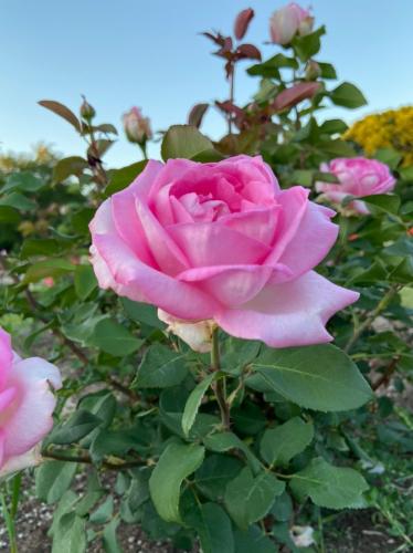 22:38:32 GMT-0400 (EDT).image