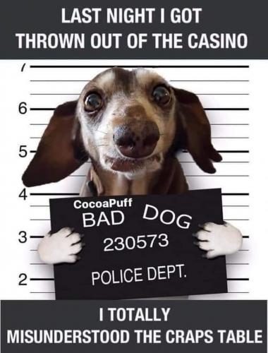 14:10:15 GMT-0500 (CDT)