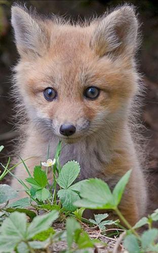 12:39:20 GMT-0500 (CDT)