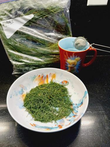 01:13:23 GMT-0500 (CDT)